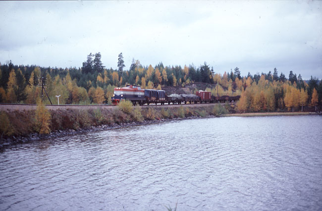 T43 251med godstg strax norr om Lngban 7 oktober 1977