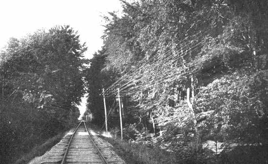 Somewhere at MYJ line year 1925